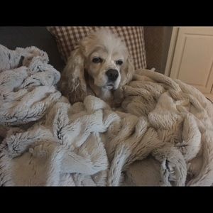 Meet your Posher, Kathryn